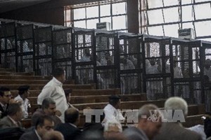 อียิปต์ตัดสินจำคุกผู้สนับสนุนองค์การภราดรภาพมุสลิมนับร้อยคน - ảnh 1